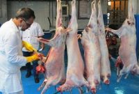 مدیرکل دامپزشکی ایلام خبر داد: تشدید نظارت بر اماکن عرضه فرآورده های خام دامی در ایلام