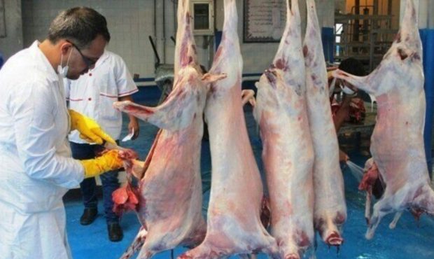 مدیرکل دامپزشکی ایلام خبر داد: تشدید نظارت بر اماکن عرضه فرآورده های خام دامی در ایلام مدیرکل دامپزشکی ایلام خبر داد: تشدید نظارت بر اماکن عرضه فرآورده های خام دامی در ایلام