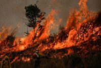 درخواست کمک یگان منابع طبیعی ایلام از مدیریت بحران برای مهار آتش سوزی