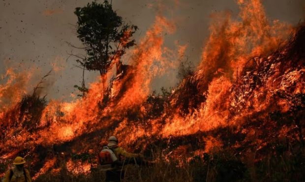 درخواست کمک یگان منابع طبیعی ایلام از مدیریت بحران برای مهار آتش سوزی