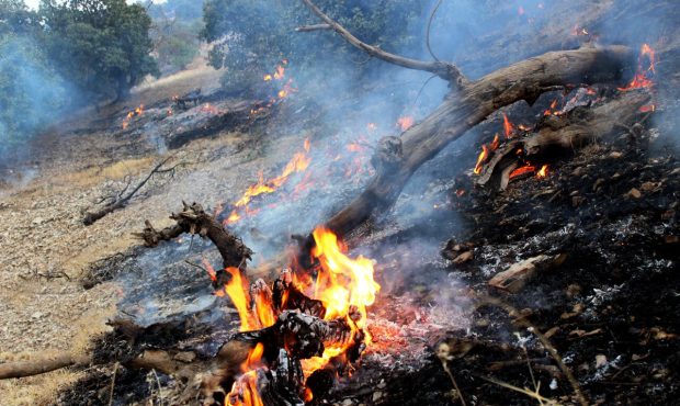 نگین زاگرس در آتش بی‌مهری؛‌ صدای پای «رسول» می‌آید