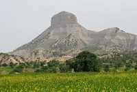 ایلام، نگین درخشان در دل ایران‌ جان/قدمگاه شهیدان، بستر لاله‌ها، آغوش بلوط‌ها/سرزمین واژگان عاشق و گام‌های زائران علمدار