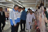 مدیرکل دامپزشکی استان: تشدید نظارت دامپزشکی ایلام بر ذبح و عرضه دام در ایام تاسوعا و عاشورا مدیرکل دامپزشکی استان: تشدید نظارت دامپزشکی ایلام بر ذبح و عرضه دام در ایام تاسوعا و عاشورا