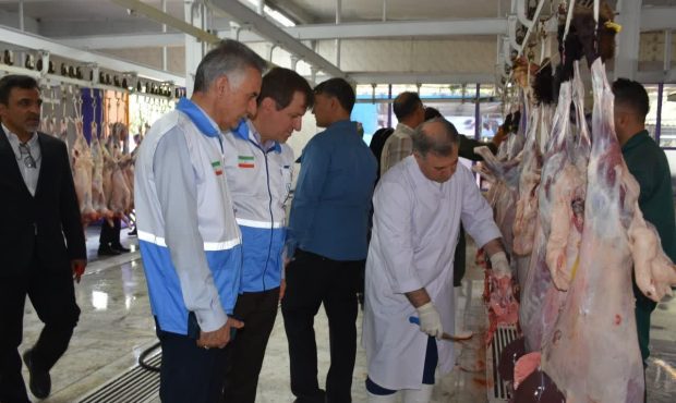 مدیرکل دامپزشکی استان: تشدید نظارت دامپزشکی ایلام بر ذبح و عرضه دام در ایام تاسوعا و عاشورا