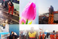 اربعین ۱۴۰۴؛ عطر گل‌های بهاری در گرمای تابستان مهران