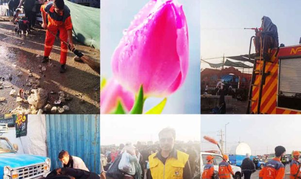اربعین ۱۴۰۴؛ عطر گلهای بهاری در گرمای تابستان مهران اربعین ۱۴۰۴؛ عطر گلهای بهاری در گرمای تابستان مهران