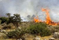 ادامه آتش‌سوزی در جنگل های «سیه‌چل» ایلام