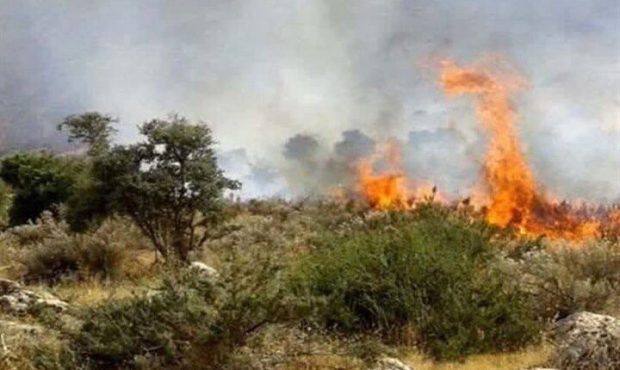 ادامه آتش‌سوزی در جنگل های «سیه‌چل» ایلام