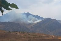 ثبت ۱۶ فقره آتش‌سوزی در مناطق تحت مدیریت محیط زیست استان ایلام