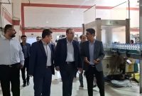 بازدید معاون وزیر صمت از واحدهای تولیدی ایلام بازدید معاون وزیر صمت از واحدهای تولیدی ایلام