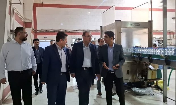 بازدید معاون وزیر صمت از واحدهای تولیدی ایلام