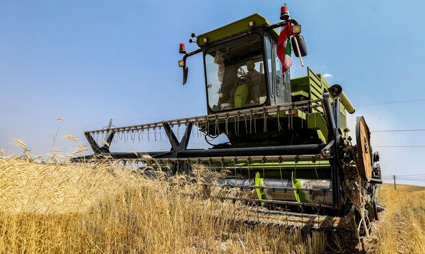 رئیس جهادکشاورزی استان خبر داد: ۹۵ درصد مطالبات کشاورزان گندم کار ایلام پرداخت شد