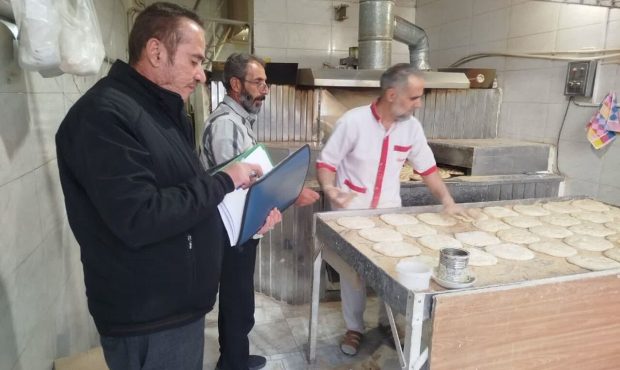 معاون بهداشتی دانشگاه علوم پزشکی ایلام خبر داد: ۶۵ نانوایی متخلف ایلام به دستگاه قضا معرفی شدند