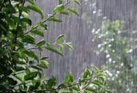 آسمان بی‌باران ایلام/ نگاه‌ها به آبان دوخته شده است