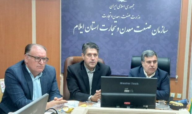 مدیرکل صمت ایلام خبر داد: ۲۶ شرکت پخش سراسری در ایلام فعالیت دارند