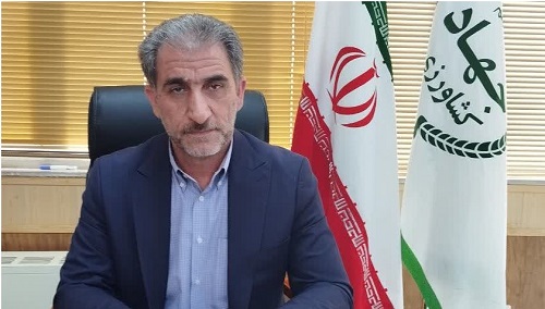 برداشت انار در سطح ۳۰۰ هکتار از اراضی عرب رودبار آغاز شد برداشت انار در سطح ۳۰۰ هکتار از اراضی عرب رودبار آغاز شد