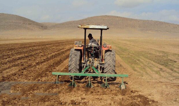 رئیس جهادکشاورزی استان خبر داد: کشت پاییزه محصولات کشاورزی ایلام آغاز شد رئیس جهادکشاورزی استان خبر داد: کشت پاییزه محصولات کشاورزی ایلام آغاز شد