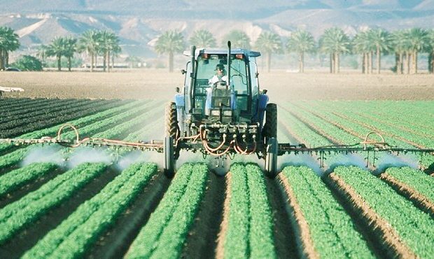 رئیس جهادکشاورزی استان خبر داد: کشت پایلوت سویا در دهلران ایلام آغاز شد