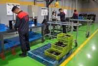 آموزش‌های فنی‌وحرفه‌ای ایلام ۱۳ هزار نفر را به بازار کار نزدیک کرد