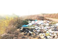 مهم‌ترین عامل آلودگی خاک در ایلام پسماندهای شهری هستند