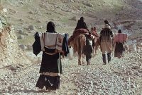 بهسازی ۱۳۰۰ کیلومتر از راه های قشلاقی ایلام آغاز شد