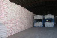 توزیع ۳۶ هزار و ۲۰۰ تن انواع کود کشاورزی در استان