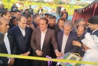 افتتاح گلخانه ۷ هکتاری در دشت عباس دهلران با حضور وزیر جهاد کشاورزی