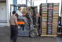 مدیر تعاون روستایی ایلام خبر داد: بهره‌برداری از دو سردخانه با ۲۸۰ تن ظرفیت در ایلام