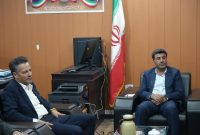 پیشرفت ۵۰ درصدی پروژه فاز اول گازرسانی به مرز چیلات/ دهلران در جمع شهرستان‌های سبز ایلام