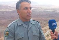 حفاظت پایدار از «کولِگ» ایلام نیازمند نگاه ملی است
