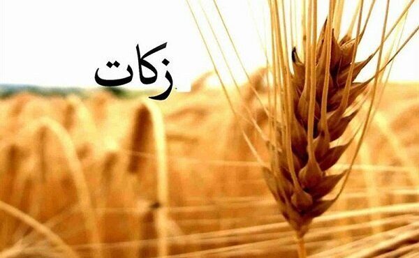 اجرای ۶۲ طرح اشتغالزایی دامداری با زکات در ایلام