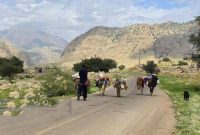 ایمن‌سازی جاده‌های دسترسی به مناطق ییلاقی ایلام به پایان رسید