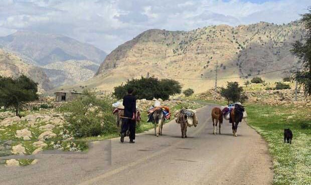 ایمن‌سازی جاده‌های دسترسی به مناطق ییلاقی ایلام به پایان رسید