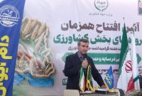 نخستین کشتارگاه صنعتی دام ایلام به بهره‌برداری رسید