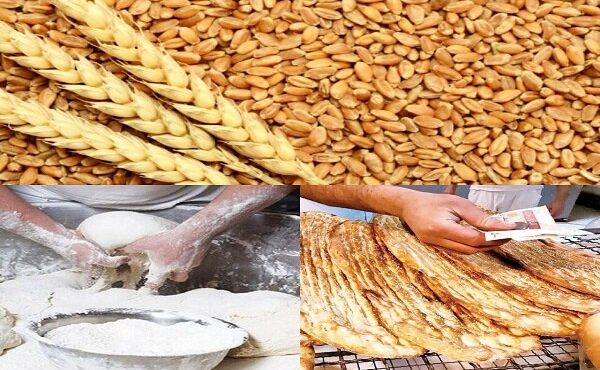 تشکیل ۱۰۰ پرونده تخلف در حوزه آرد و نان استان ایلام تشکیل ۱۰۰ پرونده تخلف در حوزه آرد و نان استان ایلام