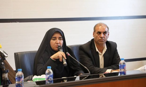 دولت بسته توسعه صنعتی ایلام را با اولویت اجرا تدوین کند
